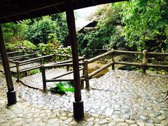 -天门沟九州驿站树上汤泉