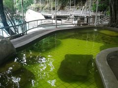 -丫沙底瀑布温泉