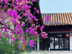 -东莞市可园博物馆