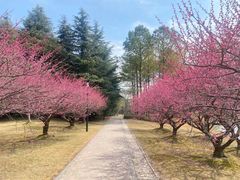 -中国浦东干部学院