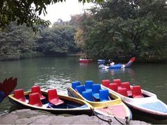 划船处-望江楼公园