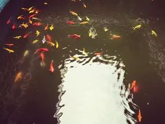 -沙县小吃文化城