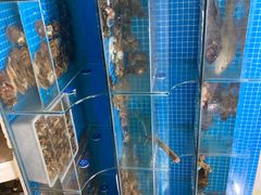 -宾朋海鲜美食特色餐厅·纯手工鲅鱼水饺(兴海路店)