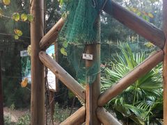 -北海金海湾红树林生态旅游区