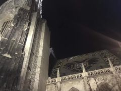 -斯蒂芬主教座堂(Stephansdom)