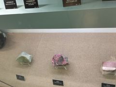 -甘肃地质博物馆