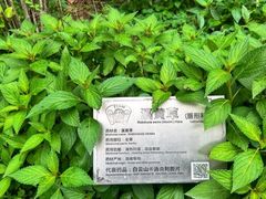 -广州神农草堂中医药博物馆