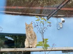 -青藏高原野生动物园