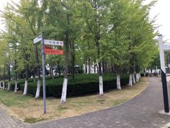 -上海第二工业大学(金海路校区)