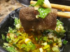 屠宰场毛肚-化龙桥九宫格火锅(清水河店)