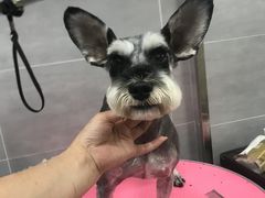-宠福鑫康馨动物医院·骨科·眼科