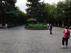 -渭滨公园
