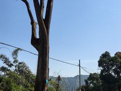 -西双版纳总佛寺
