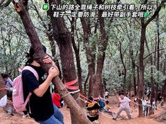 -灵岩山风景区