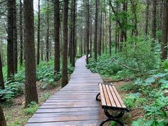 -白草畔自然风景区