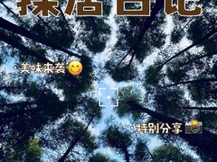 -山王坪喀斯特国家生态公园