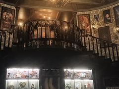 -雪灵魔法世界SHELLY’S TAROT(大良桂畔里店)