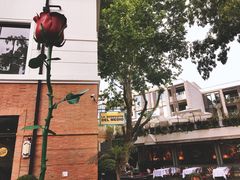 -徐家汇源景区-衡山公园