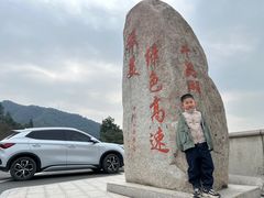 -浔味·山屿湖·正宗全鱼宴老字号