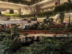 -广州白天鹅宾馆