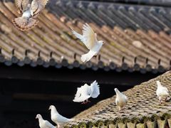 -重元寺