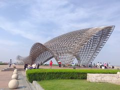 -南汇嘴观海公园