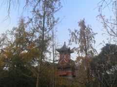 -四川大学(华西校区)