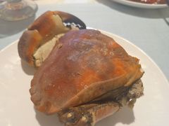 -洛阳国际大酒店-香榭丽舍西餐厅