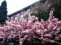-北海公园
