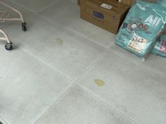 -鼎级派宠物(中南店)