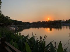-葛仙湖公园