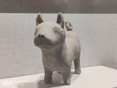 -四川宋瓷博物馆