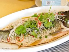 -河源第一家潮汕美食城(红星西路店)