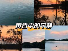 -海珠湖公园