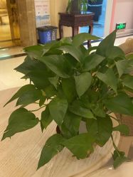 -北京俪婴妇产医院(朝阳大悦城店)