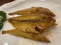 -外沙疍家棚酒楼