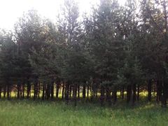 -塞罕坝国家级自然保护区