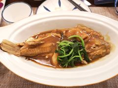 -肆月河豚·新淮扬(金融街店)
