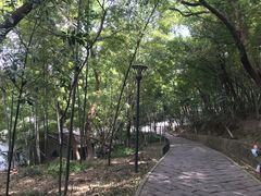 -峙山公园