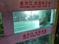 -秋语木桶鱼.酸菜鱼(开发区火车站店)