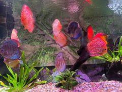 -上海海洋水族馆