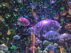 -成都梵高星空艺术馆(春熙路旗舰店)