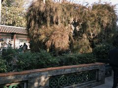 -东莞市可园博物馆