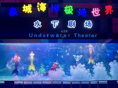 -泉城欧乐堡海洋极地世界