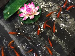 -蓝港海鲜厨房(金水路店)