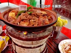 -沙胆彪炭炉牛杂煲(成都玉林店)