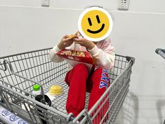-山姆会员商店(亦庄创意生活广场店)