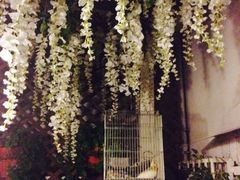 iphone_upload_pic-燕庭·纯燕窝·甜品下午茶(南京西路店)