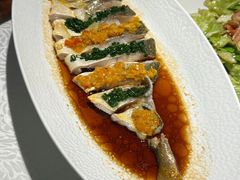 -品海楼·大连海胆锅贴馆(东港店)