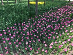 -长春公园(普阳街道)